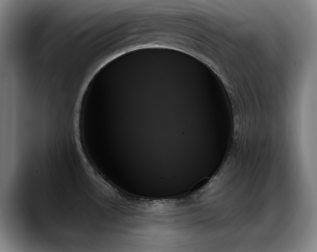 X0000089351530200706151052
