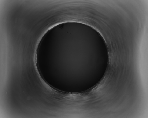 X0000089351531200706151052