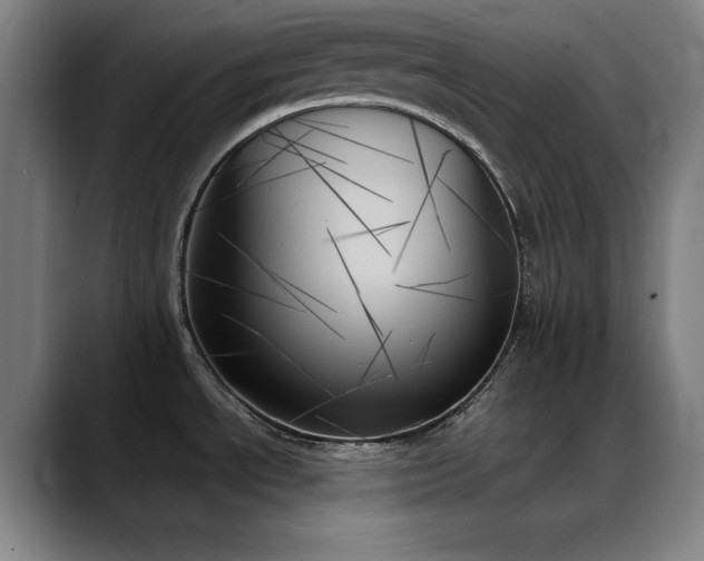X0000089351534200706151052