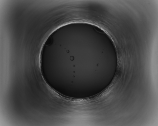 X0000089351535200706151052