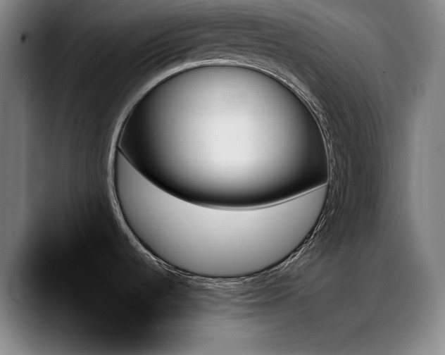 X0000089351536200706151052