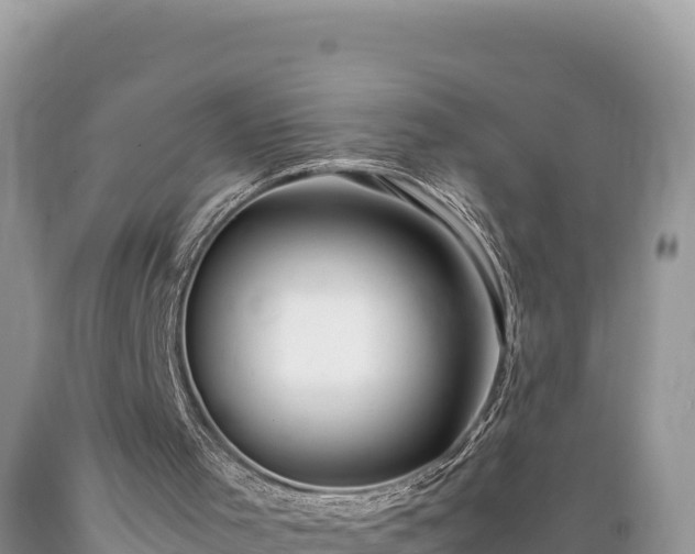 X0000089350001200706221148