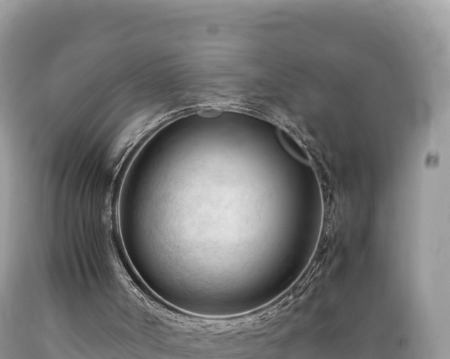 X0000089350002200706221148