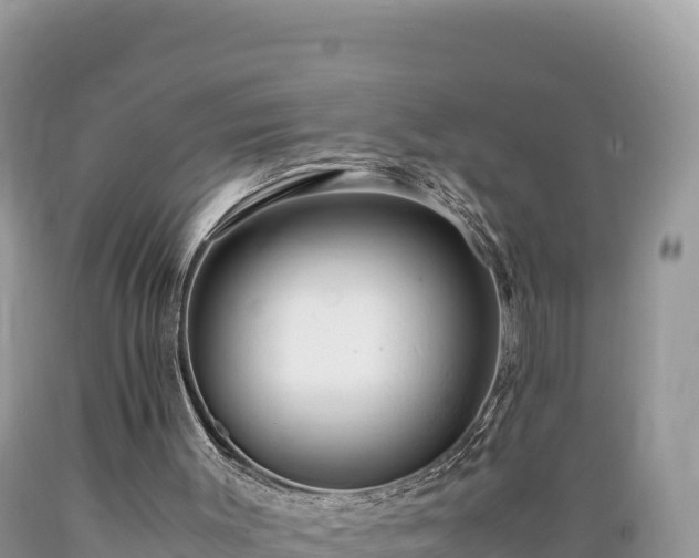 X0000089350003200706221148