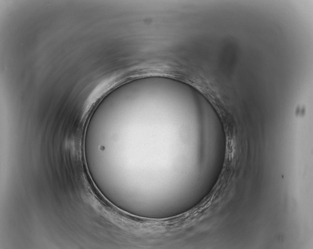 X0000089350004200706221148