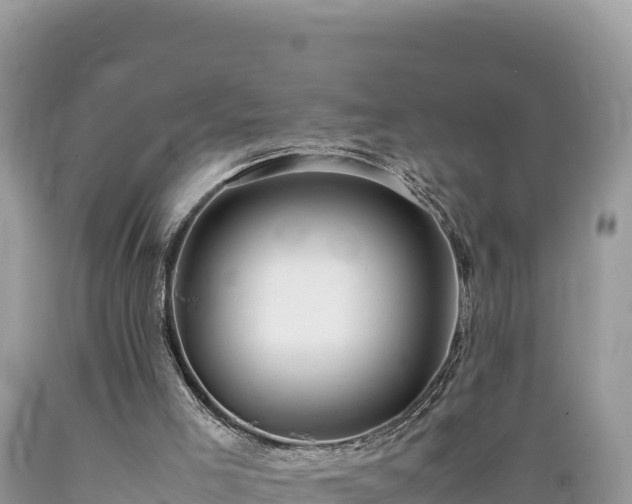 X0000089350005200706221148
