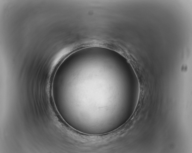 X0000089350006200706221148