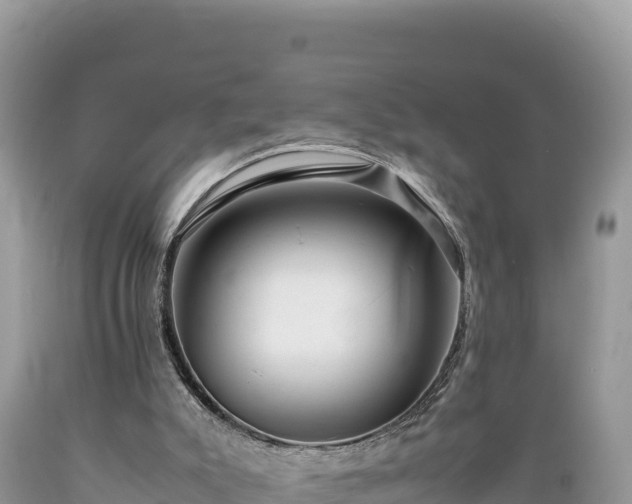X0000089350007200706221148