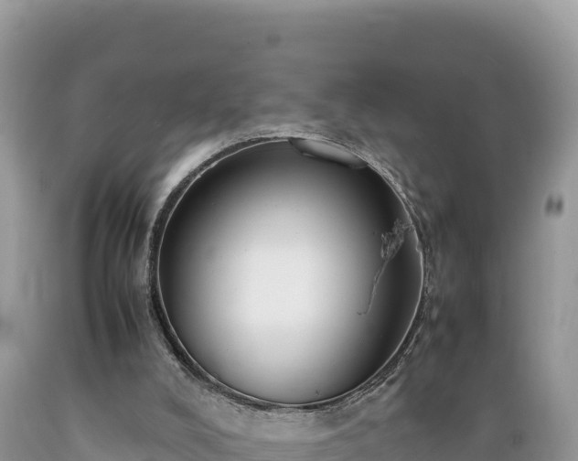 X0000089350008200706221148