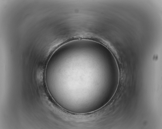 X0000089350010200706221148