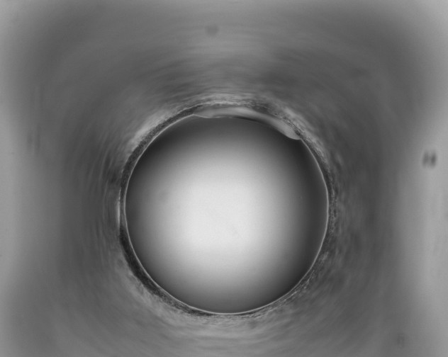 X0000089350011200706221148
