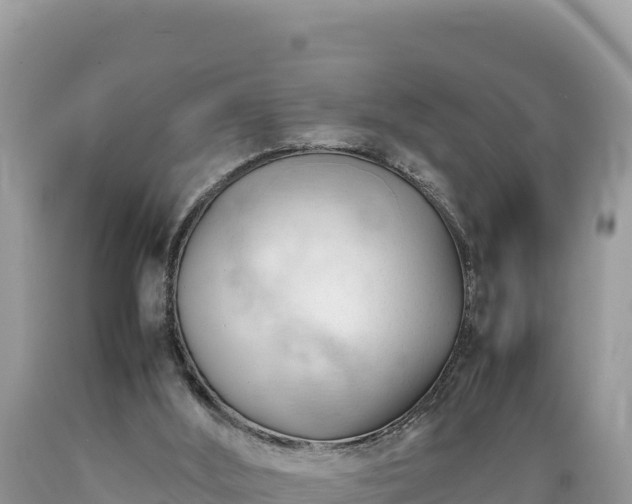 X0000089350012200706221148