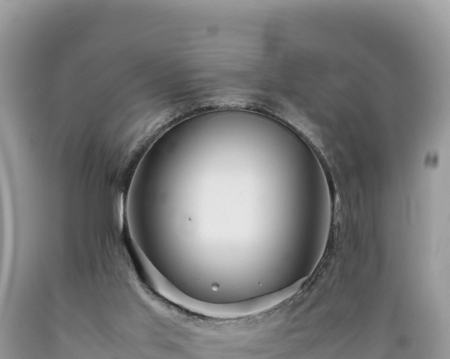 X0000089350013200706221148