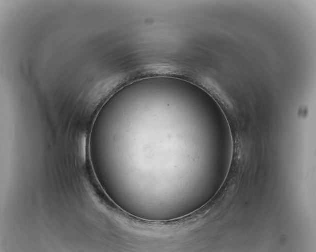 X0000089350014200706221148