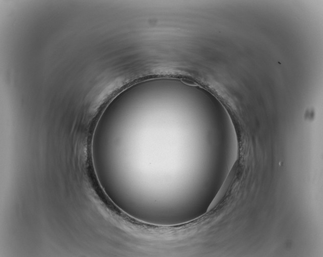 X0000089350015200706221148