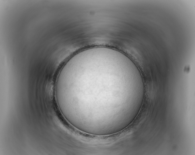 X0000089350016200706221148