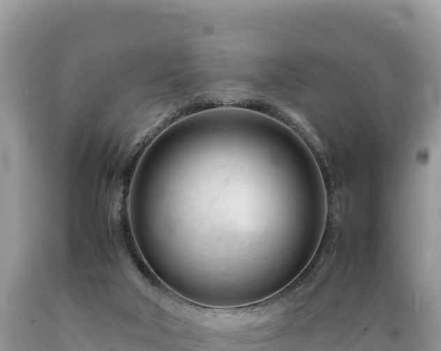 X0000089350018200706221148