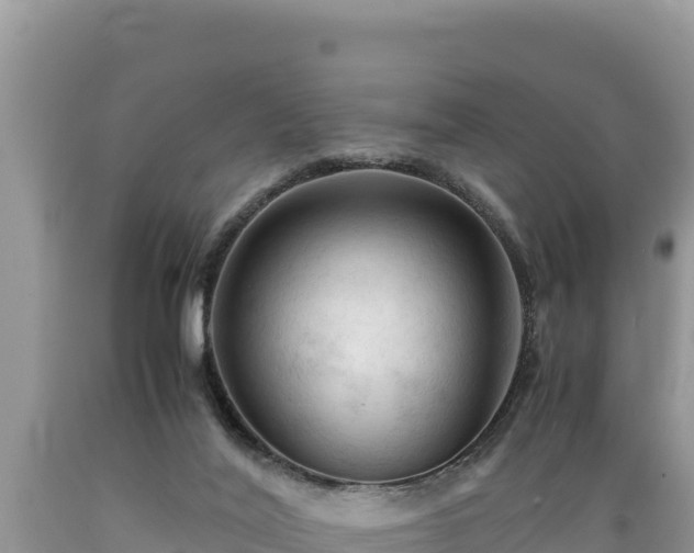 X0000089350020200706221148