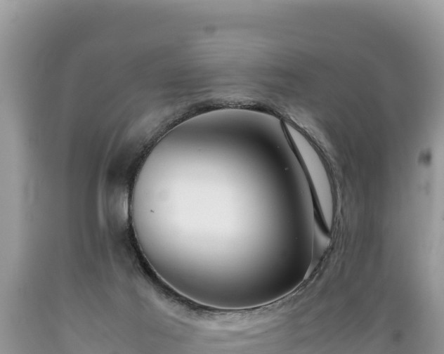 X0000089350021200706221148