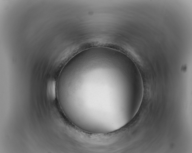 X0000089350022200706221148