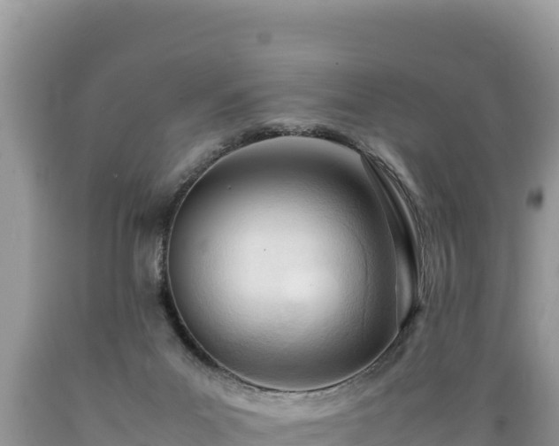 X0000089350023200706221148