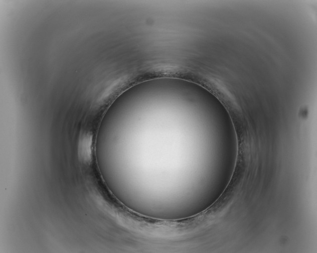 X0000089350024200706221148