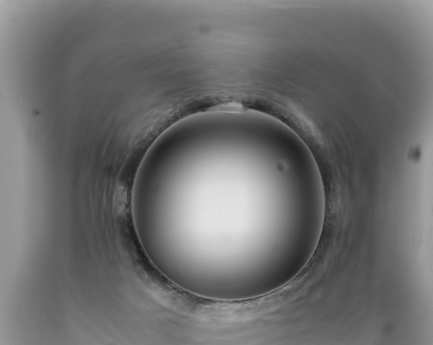 X0000089350025200706221148