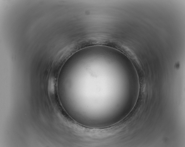 X0000089350026200706221148
