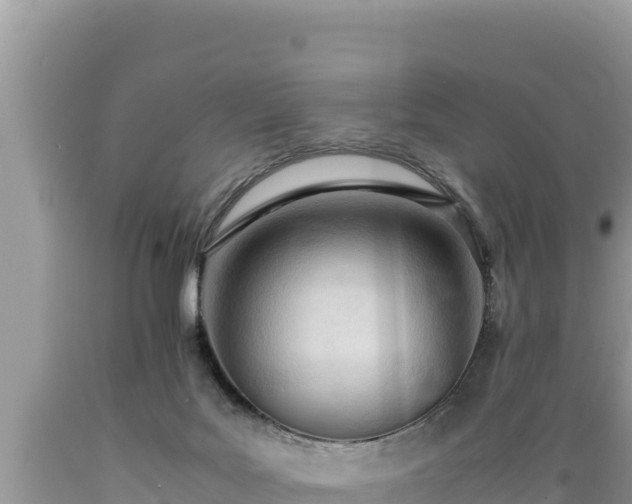 X0000089350027200706221148