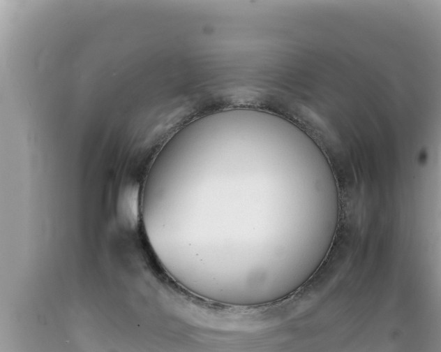 X0000089350028200706221148