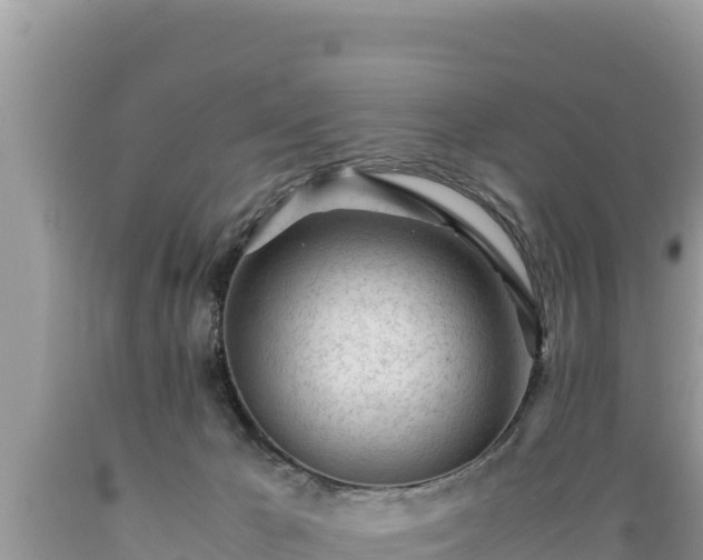 X0000089350029200706221148