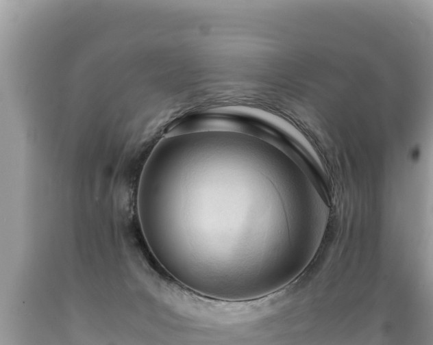 X0000089350031200706221148