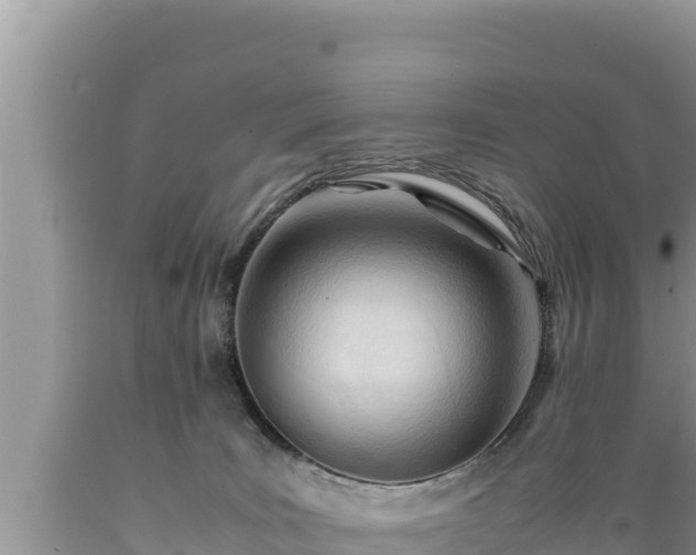 X0000089350035200706221148