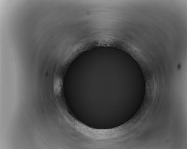 X0000089350038200706221148