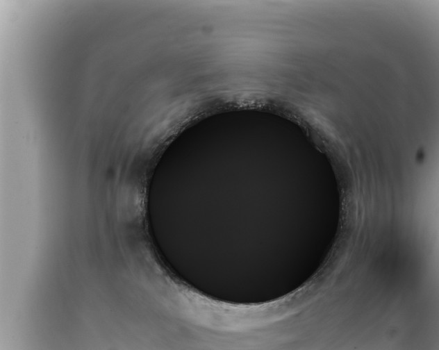 X0000089350039200706221148
