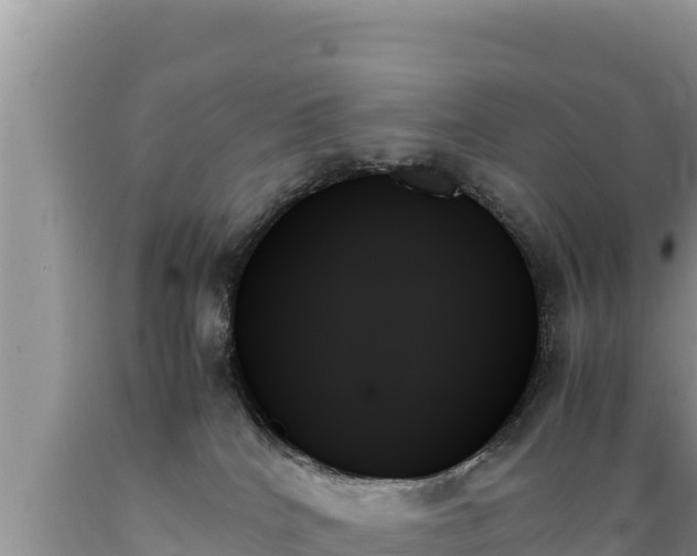 X0000089350040200706221148