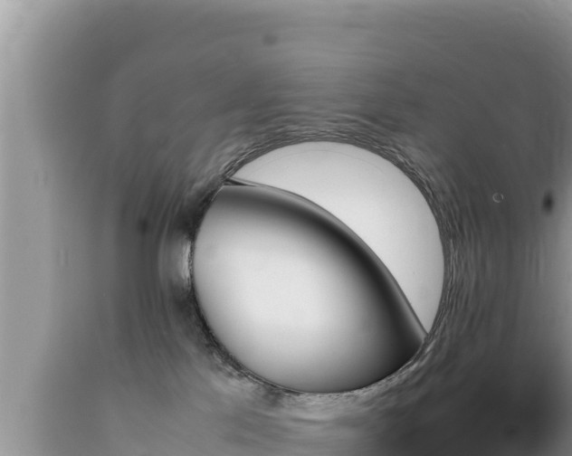 X0000089350041200706221148