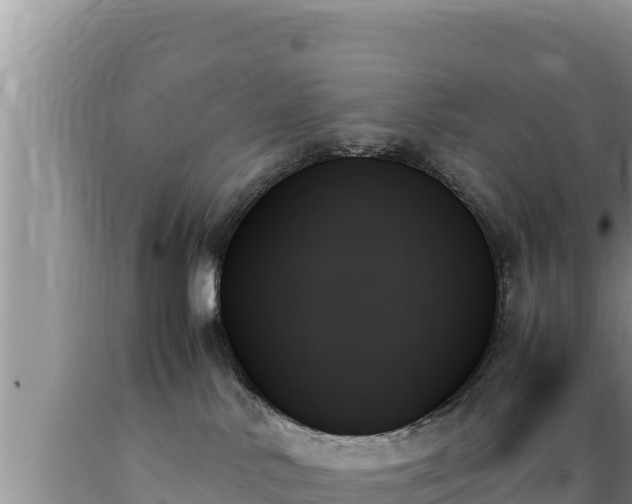 X0000089350042200706221148