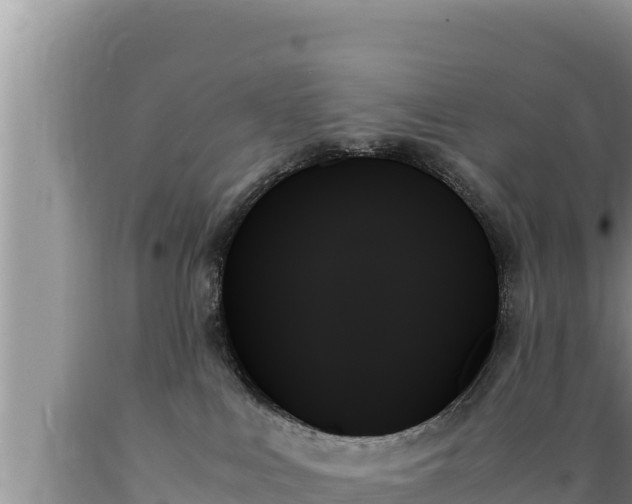 X0000089350043200706221148