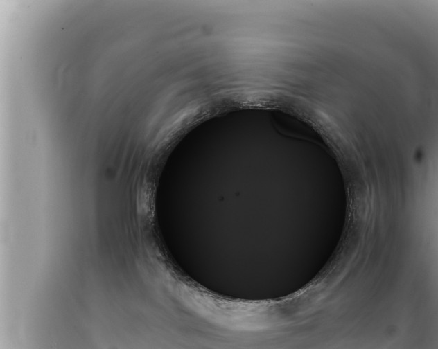 X0000089350044200706221148