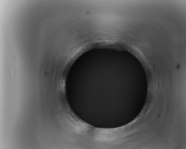 X0000089350045200706221148