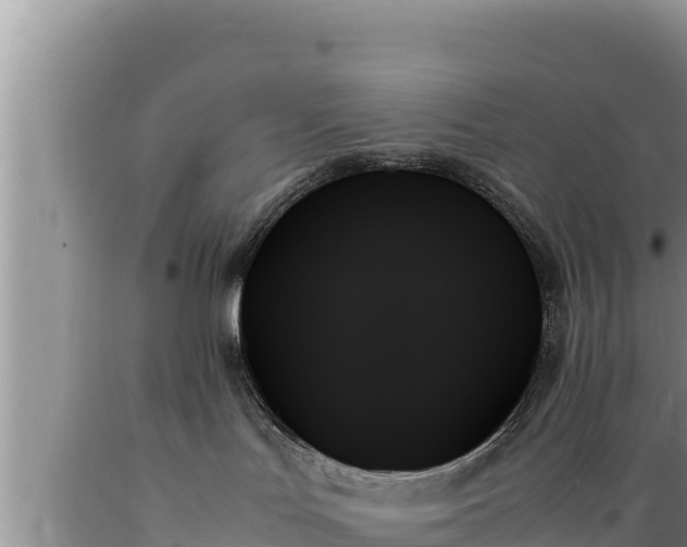 X0000089350047200706221148