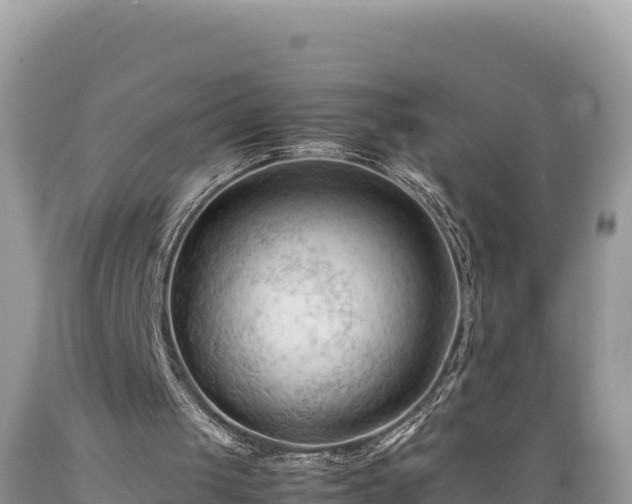 X0000089350049200706221147