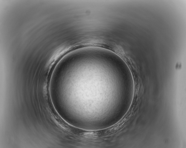 X0000089350050200706221147