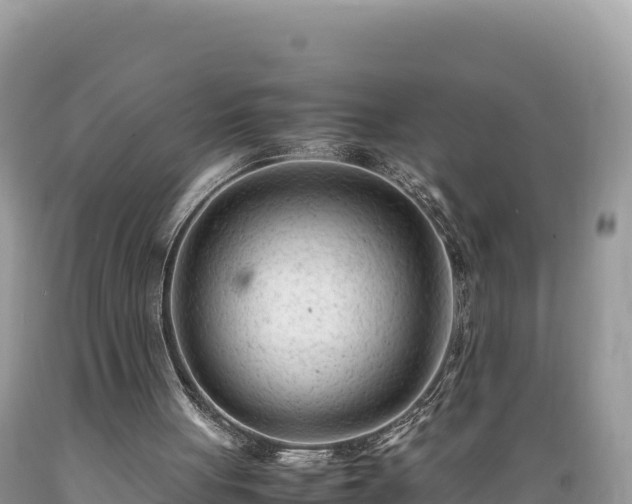 X0000089350051200706221147
