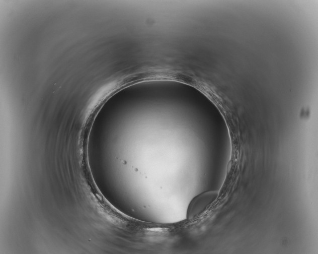 X0000089350053200706221147
