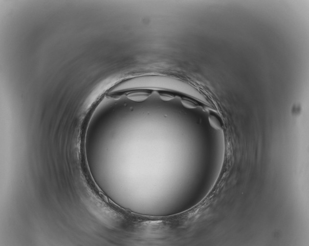 X0000089350054200706221147