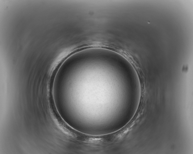 X0000089350055200706221147