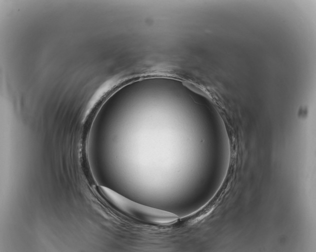X0000089350056200706221147