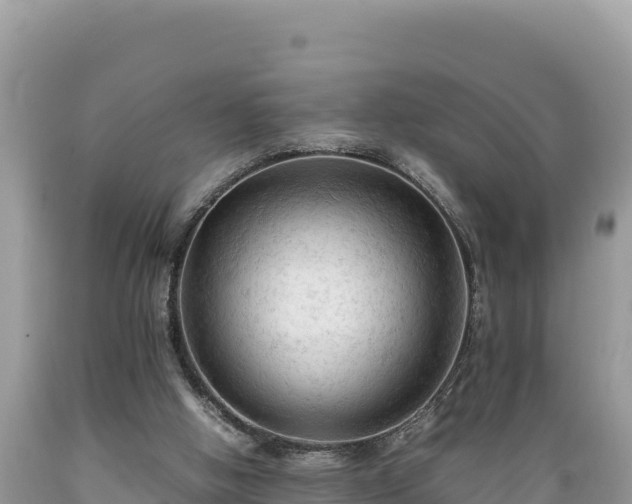 X0000089350058200706221147